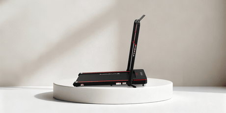 CITYSPORTS WP3